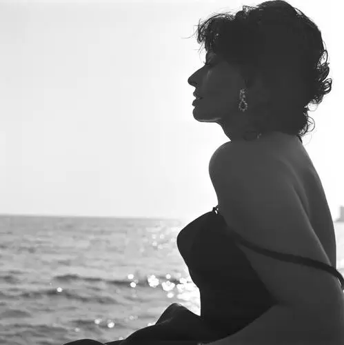 Sophia Loren Jigsaw Puzzle picture 525165