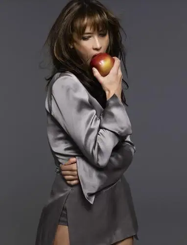 Sophie Marceau Wall Poster picture 24295