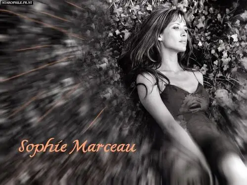 Sophie Marceau Wall Poster picture 80649