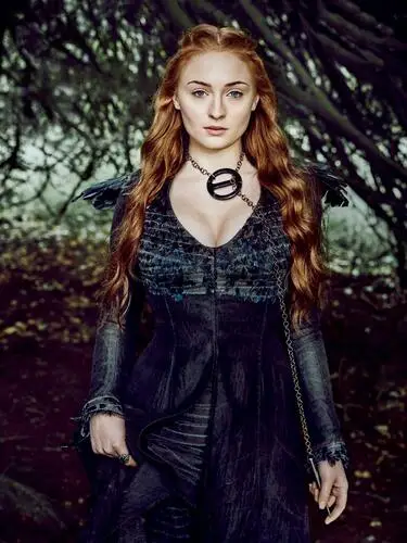 Sophie Turner Wall Poster picture 550900