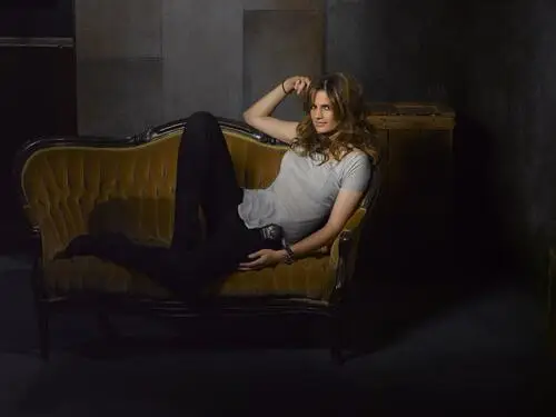 Stana Katic Jigsaw Puzzle picture 263742