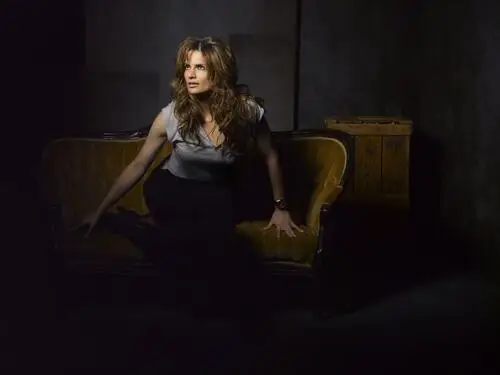 Stana Katic Jigsaw Puzzle picture 263744