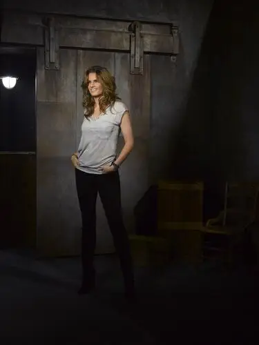 Stana Katic Jigsaw Puzzle picture 263746