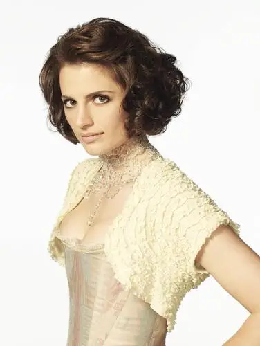 Stana Katic Wall Poster picture 263773