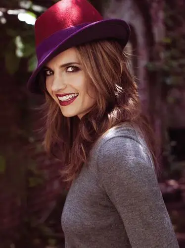 Stana Katic Wall Poster picture 332528