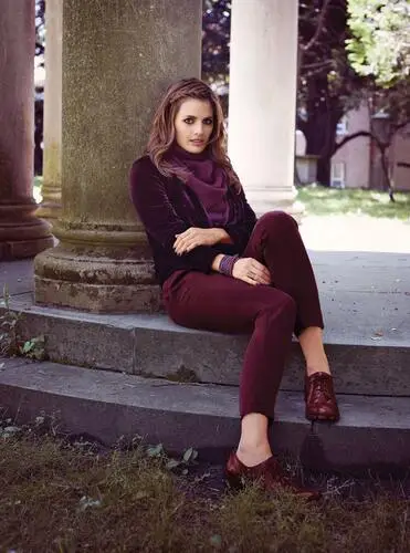 Stana Katic Jigsaw Puzzle picture 332531