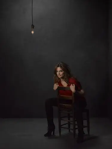 Stana Katic Jigsaw Puzzle picture 332537