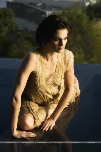 Stana Katic Jigsaw Puzzle picture 528296