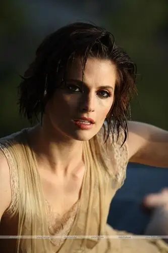 Stana Katic Jigsaw Puzzle picture 528299