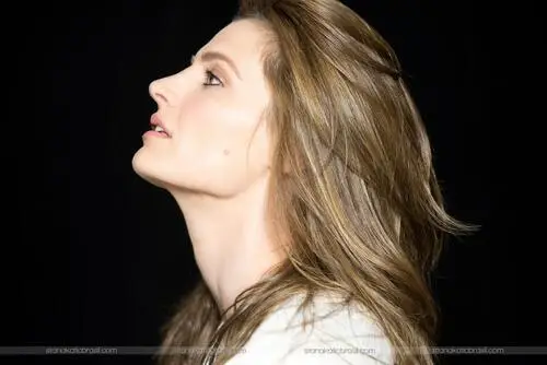 Stana Katic Wall Poster picture 878339