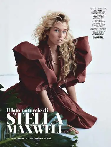 Stella Maxwell Wall Poster picture 12690