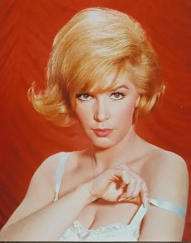 Stella Stevens Wall Poster picture 240665