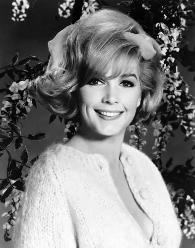 Stella Stevens Wall Poster picture 240666