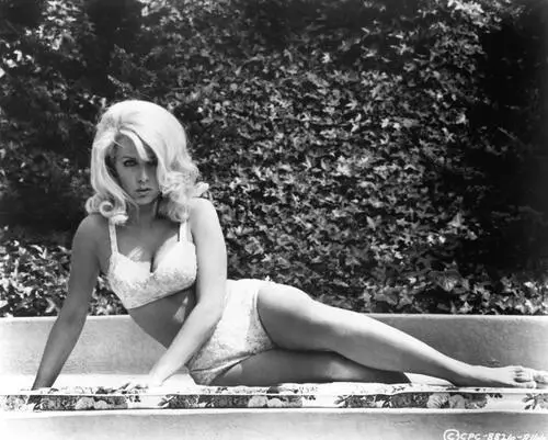 Stella Stevens Wall Poster picture 240679