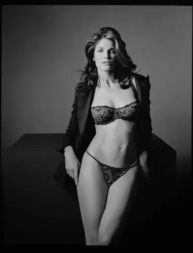 Stephanie Seymour Wall Poster picture 263887