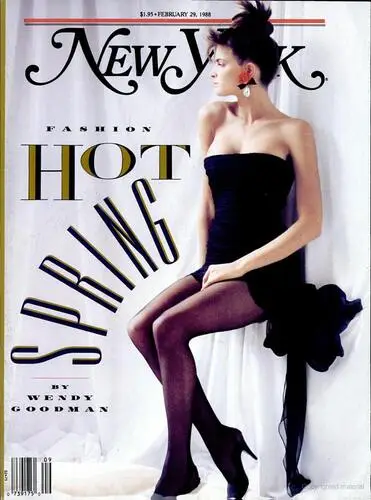 Stephanie Seymour Wall Poster picture 69925