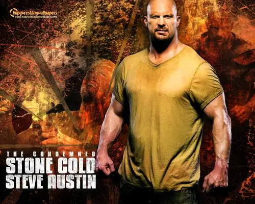 Steve Austin Wall Poster picture 77769