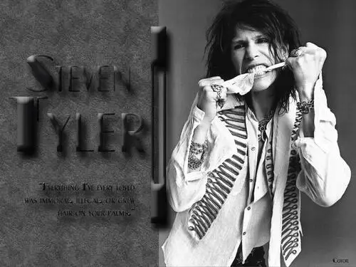 Steven Tyler Wall Poster picture 93271