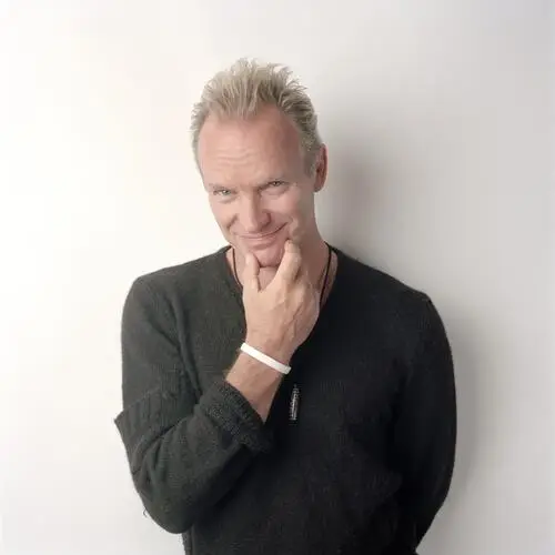 Sting Jigsaw Puzzle picture 527446