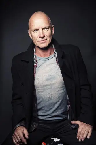 Sting Jigsaw Puzzle picture 808552