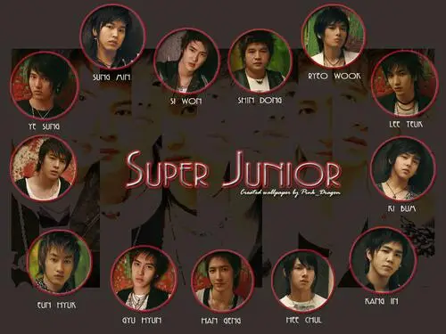 Super Junior Men's Colored T-Shirt - idPoster.com