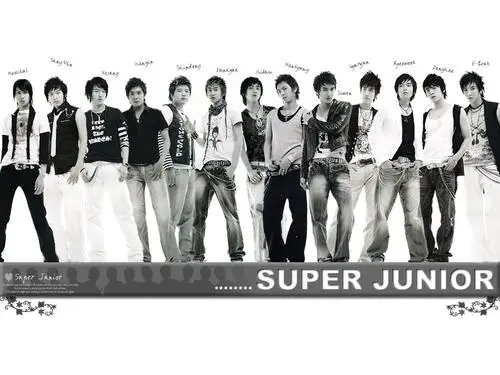 Super Junior Fridge Magnet picture 103951