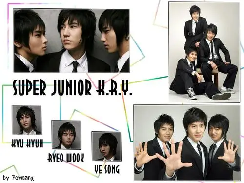 Super Junior Fridge Magnet picture 103965