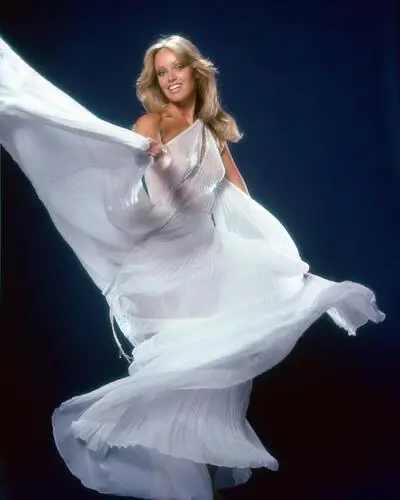 Susan Anton Wall Poster picture 529560