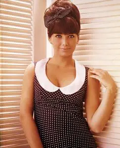 Suzanne Pleshette posters and prints