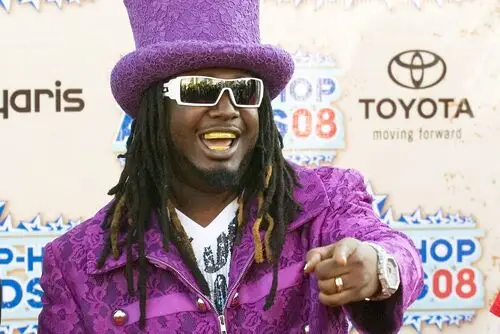 T-Pain Jigsaw Puzzle picture 945634