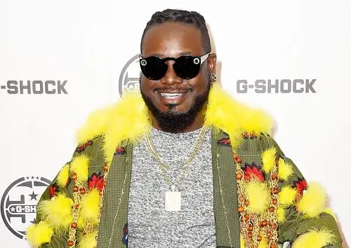 T-Pain Wall Poster picture 945658