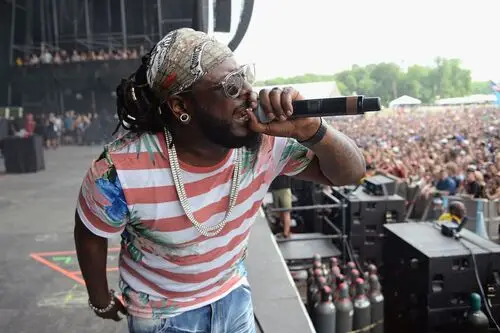 T-Pain Image Jpg picture 945667