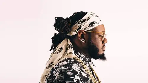 T-Pain Jigsaw Puzzle picture 945683