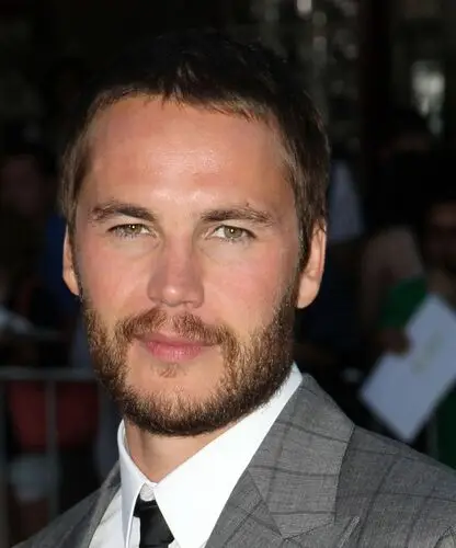 Taylor Kitsch Wall Poster picture 173892
