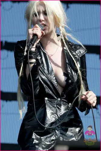 Taylor Momsen Wall Poster picture 112006
