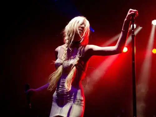 Taylor Momsen Wall Poster picture 226557