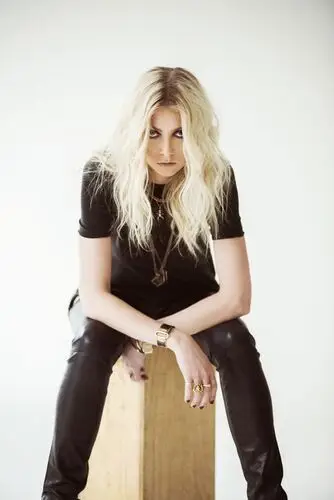 Taylor Momsen Jigsaw Puzzle picture 880533