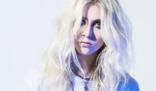 Taylor Momsen Jigsaw Puzzle picture 880535