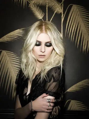 Taylor Momsen Wall Poster picture 880546