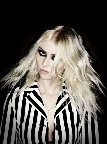 Taylor Momsen Wall Poster picture 880559