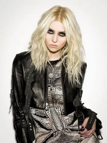 Taylor Momsen Wall Poster picture 880566