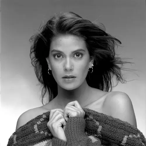 Teri Hatcher Wall Poster picture 24388