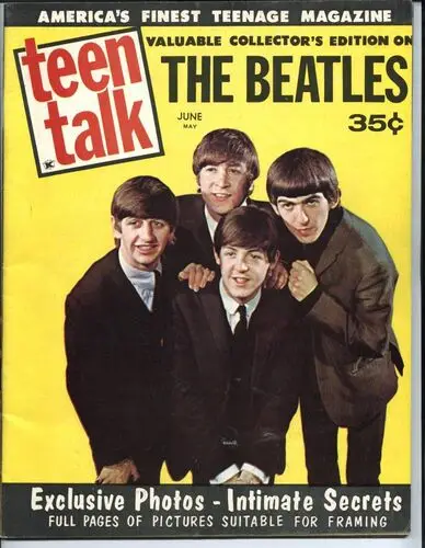 The Beatles Wall Poster picture 208079