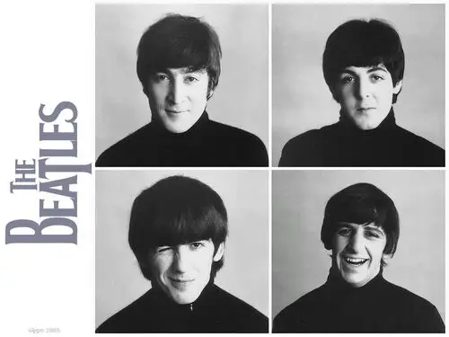 The Beatles Wall Poster picture 208152