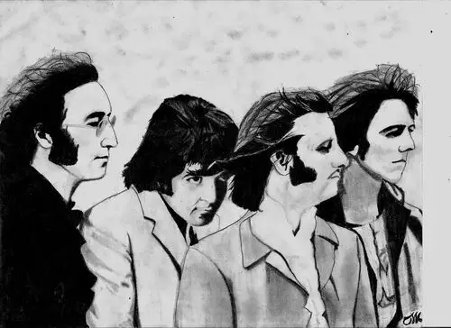 The Beatles Fridge Magnet picture 208275