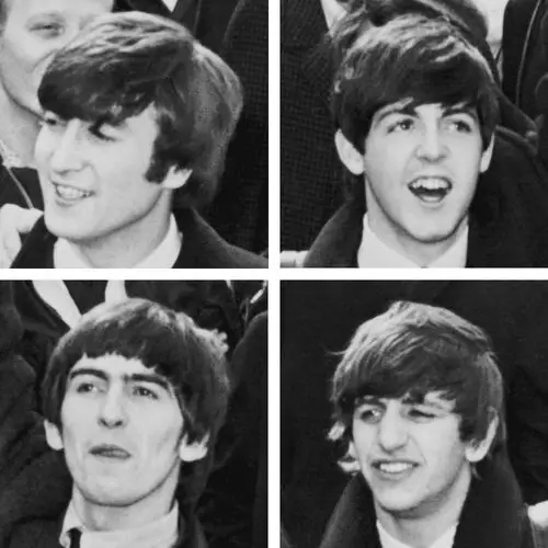 The Beatles Fridge Magnet picture 208297