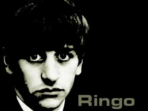 The Beatles Fridge Magnet picture 208308