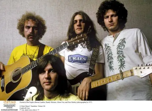 The Eagles Jigsaw Puzzle picture 953341