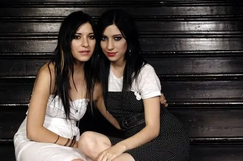 The Veronicas Computer MousePad picture 533286