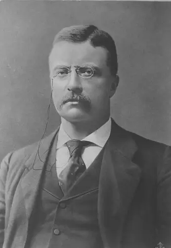 Theodore Roosevelt Wall Poster picture 478650
